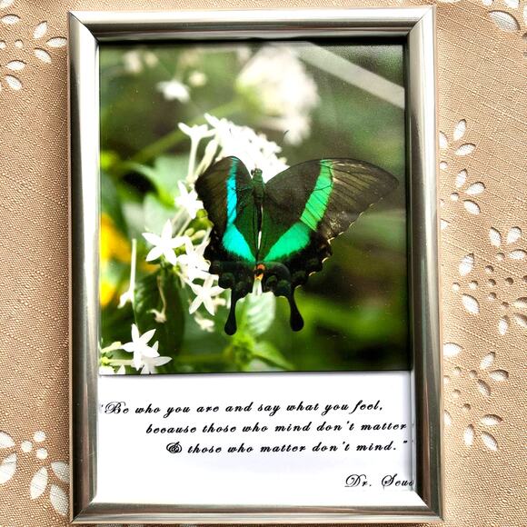 NEW Framed Butterfly on Jasmine Flower Print with Dr. Seuss Quote - Picture 1 of 8